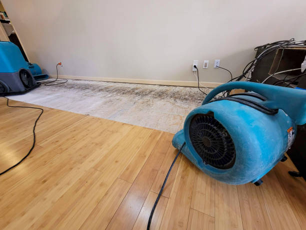 Reliable Water Damage Repair contractor in Smithfield, NC by Hirex Water Damage