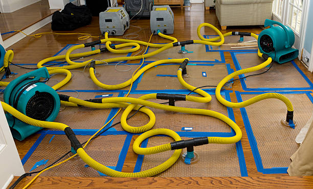 Professional Water Damage Repair technician working in Smithfield, NC